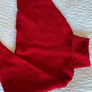 Aritzia Cropped Turtleneck